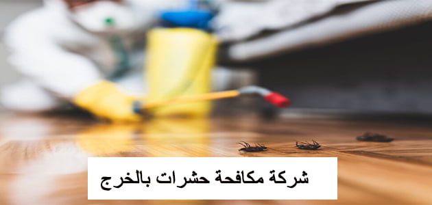 شركة مكافحة حشرات بالخرج