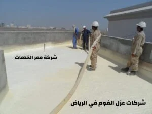 عزل فوم في الرياض