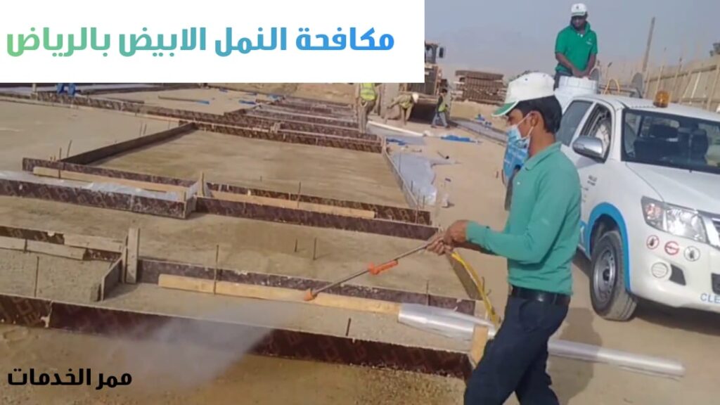 مكافحة النمل الابيض بالرياض