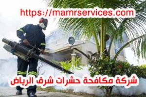شركة مكافحة حشرات شرق الرياض